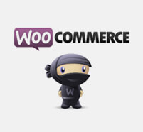 WooCommerce and other plugins